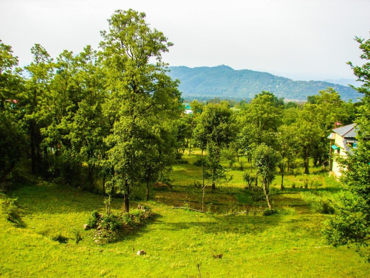 Travelodge Homestay Bīr Esterno foto